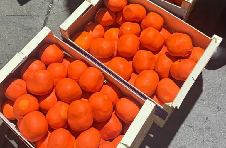 إجهاض محاولة تهريب أربعة أطنان و374 كيلوغراما من مخدر الشيرا بطنجة 