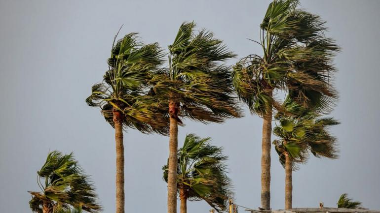 نشرة إنذارية رياح قوية مع تطاير الغبار من الخميس إلى الجمعة 