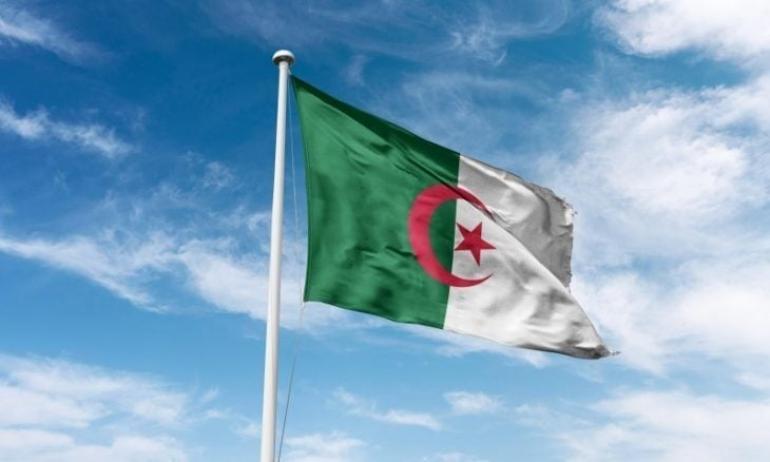 الجزائر ترحيل نصيرة ديتور الحقوقية المدافعة عن ملف المفقودين لحظة وصولهم المطار هواري بومدين