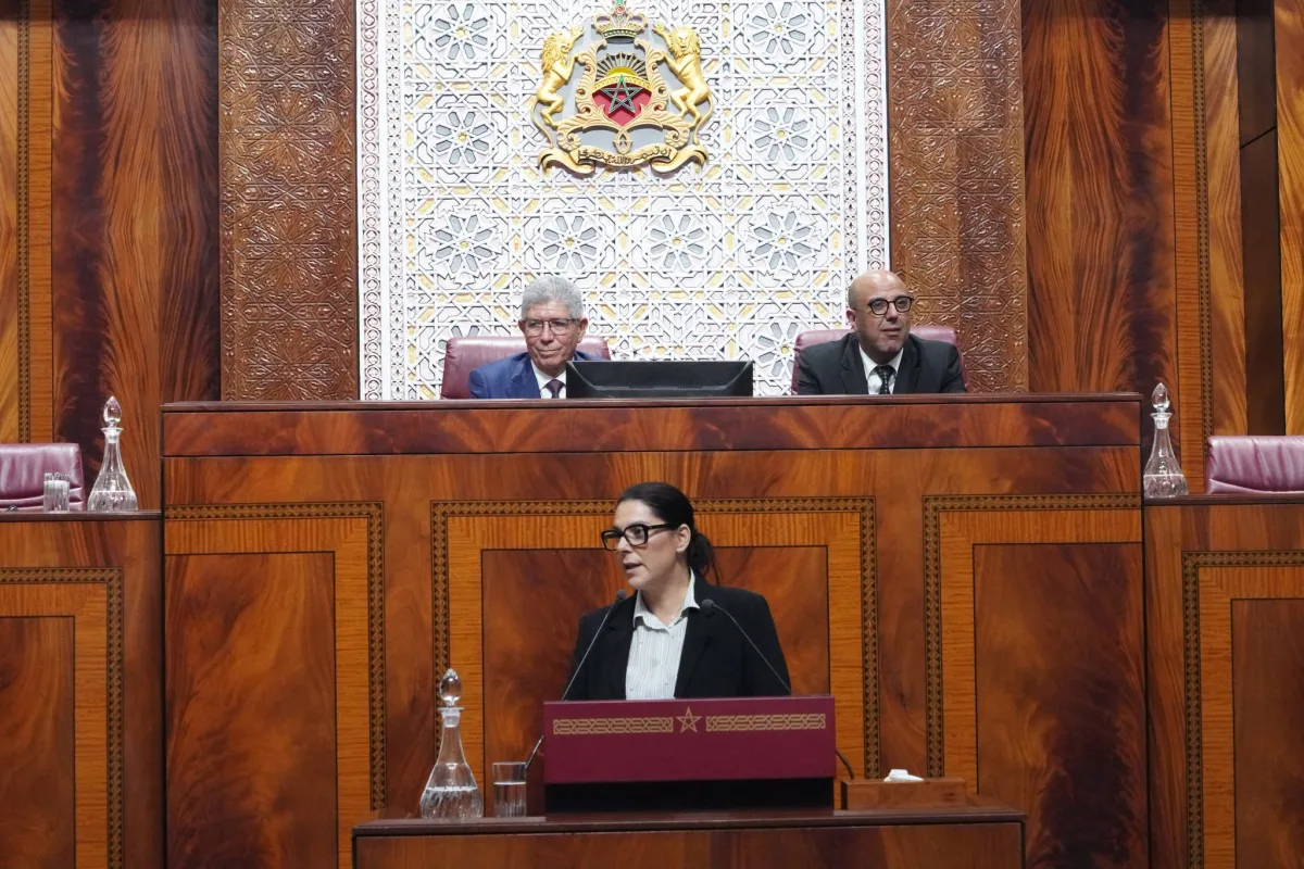 الحكومة تراهن على إصلاح الصحة والتعليم وإحداث 100 ألف فرصة للتكوين سنويا