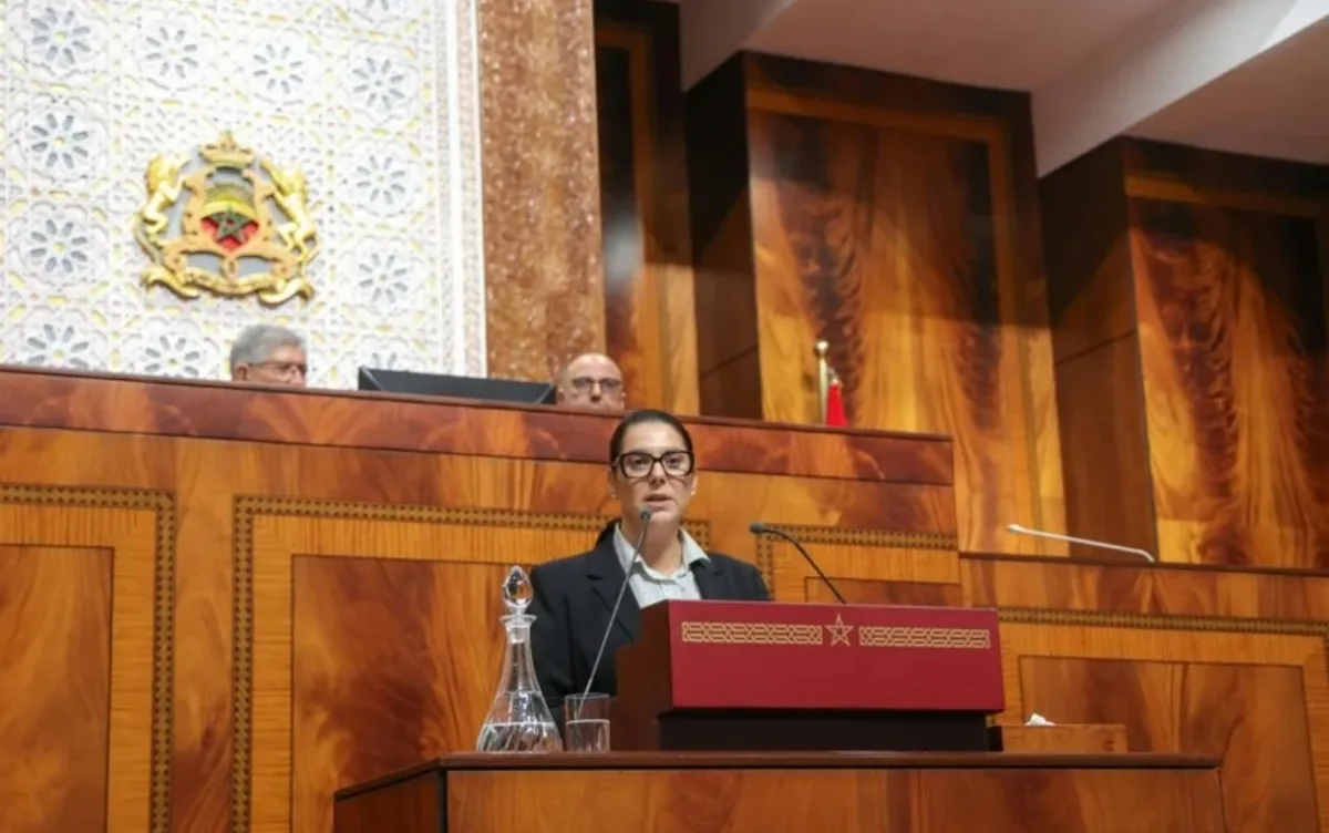 المنصوري: الصحراء المغربية وفلسطين في صلب توجهات الحكومة الجديدة